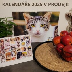 Kalendáře 2025