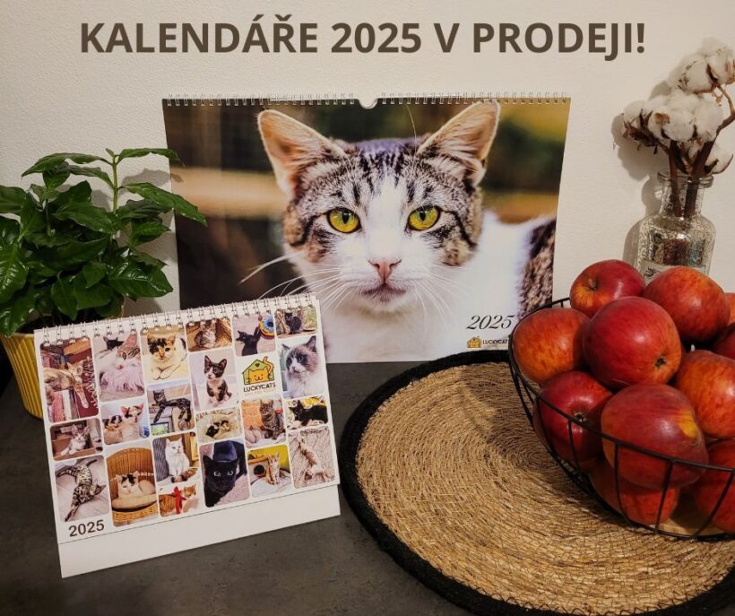 Kalendáře 2025